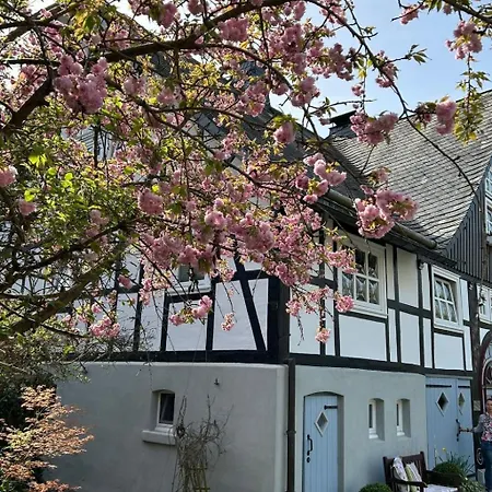 Apartmán Fachwerkliebe Baudenkmal Ornes By Interhome